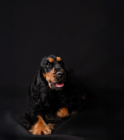 Au Pays De La Valdange Gîtes Et Élevage, Éleveur De Chiens à Étival-Clairefontaine