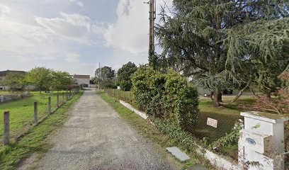 Promenade Canine Jerome Cerezo, Dresseur de Chiens à Muret