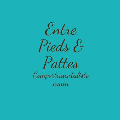 Entre Pieds & Pattes, Dresseur de Chiens au Poiré-sur-Vie