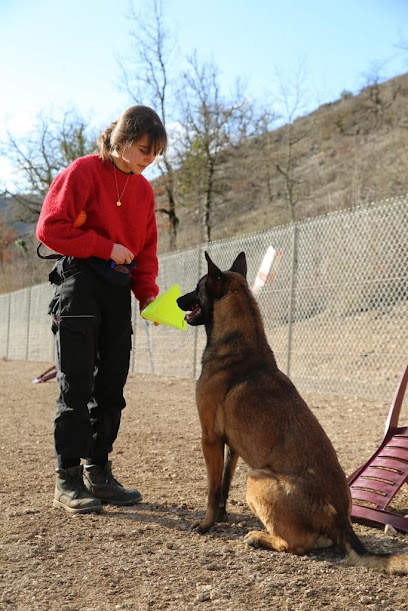 Eléonore Counord - Educateur Canin Comportementaliste & Petsitter - Diplomée - Autour De Montpellier, Dresseur De Chiens aux Matelles