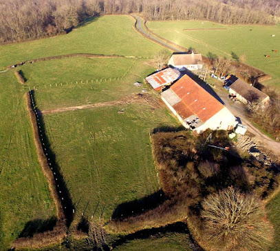Le Qg Des 4 Pattes - Elevage Canin Éleveur De Chiens à Thiel-sur-Acolin