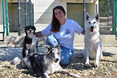 Pitchounes, Pension pour Chiens à Taponnat-Fleurignac
