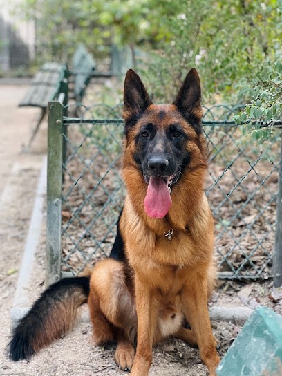 Les Terres de la Serpenterie, Eleveur de Chiens à La Chapelle-Moutils