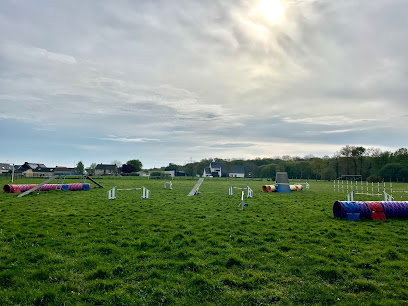 Club D'éducation Et Sport Canin Montalbanais (Escm), Dresseur De Chiens à Montauban-de-Bretagne