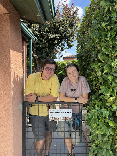 Yüz Petsitting, Pension Pour Chien à Castelginest