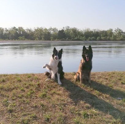 EDUCATION CANINE ALSACE - L' ETOILE DES BERGERS, Dresseur de Chiens à Rustenhart