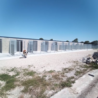Itakueil Pension Canine & Féline, Pension pour Chiens à La Remaudière
