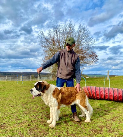 Élevage Totem Bau, Eleveur de Chiens à Leffonds