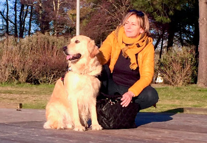 Doggy Lov's Dresseur De Chiens aux Églisottes-et-Chalaures