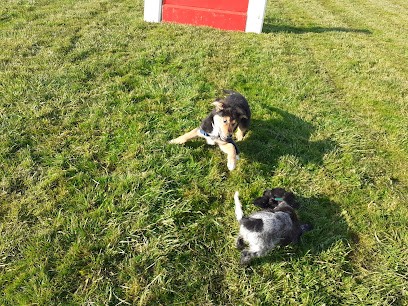 Educanine 53, Dresseur de Chiens à Parné-sur-Roc