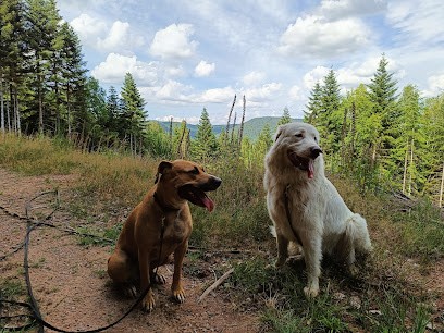 Cani-Ecole 88, Pension pour Chiens à La Houssière