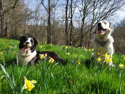 L'OxKar - L'Oxygène des L'AsKar, Pension pour Chiens à Cisternes-la-Forêt