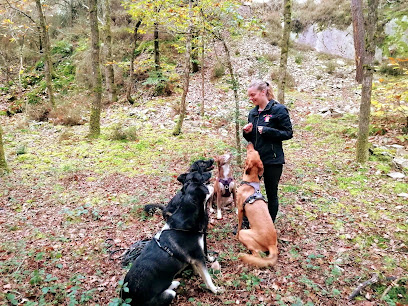 Educativedog – Éducatrice Et Comportementaliste Canin Et Félin, Dresseur De Chiens à Sainte-Suzanne-sur-Vire