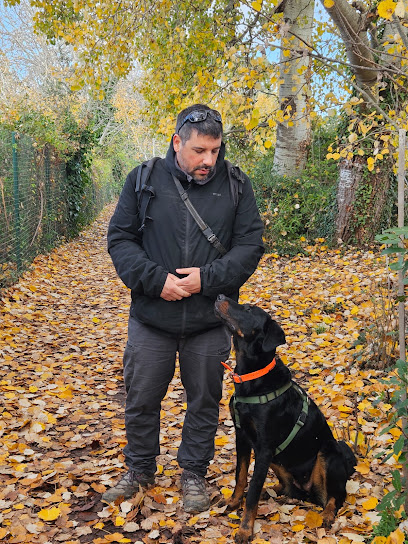 Coaching Canin 06 - Éducateur Comportementaliste Canin Nice Dresseur De Chiens à Nice
