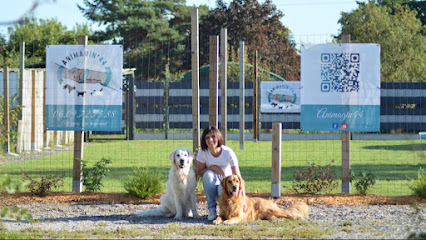 Animagin'44 - Educateur Comportementaliste Canin Nantes Dresseur De Chiens à Saint-Julien-de-Concelles