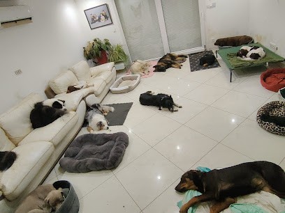 Ouaf'Family, Pension pour Chiens à Marainville-sur-Madon