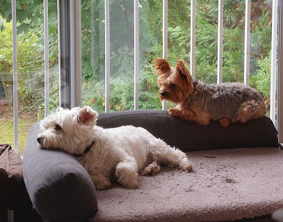 Scarlette & Friends Pension Pour Chien à Montesson