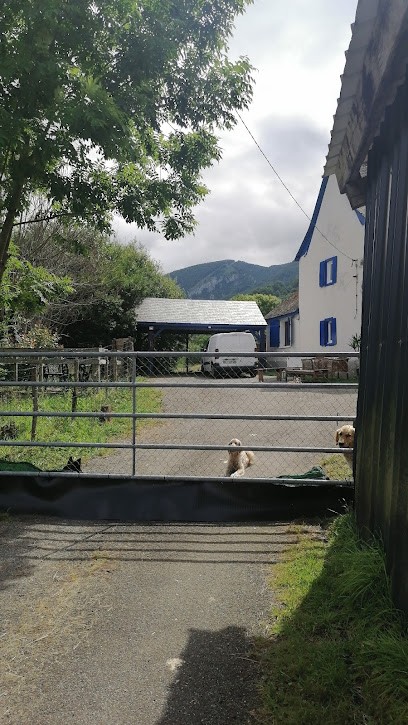 Canicolo, Pension pour Chiens à Sainte-Engrâce