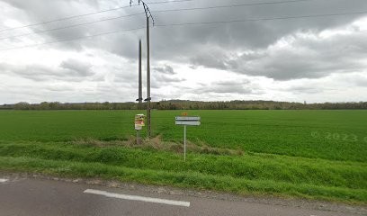 Elevage Amstaff Légitime Démence kennel, Eleveur de Chiens à Neaufles-Saint-Martin