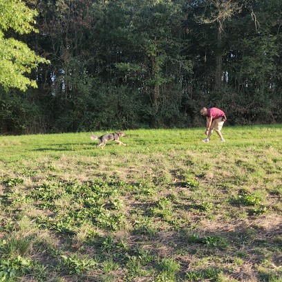 Dog Ofwood - Educateur comportementaliste canin et félin à domicile - Garde d'animaux, Dresseur de Chiens à Loire-Authion