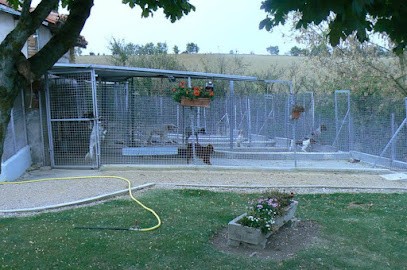 L'enclos Des Jonquilles, Pension pour Chiens à Grazac