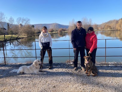 A'Compagnon - Education Canine, Dresseur de Chiens aux Junies