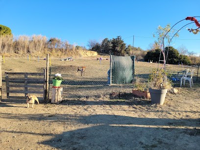 Centre Canin Les 1001 Pattes, Dresseur de Chiens à Maraussan