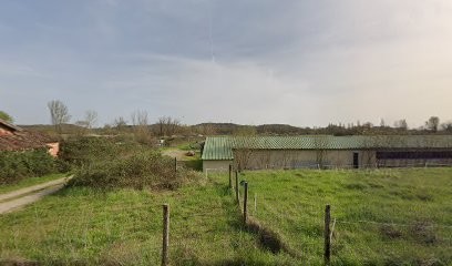 Elevage Du Puech d'Argent, Eleveur de Chiens à Moissac