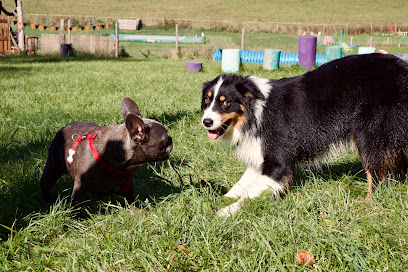 Wouf Fun Garderie, Pension Pour Chien aux Crozets