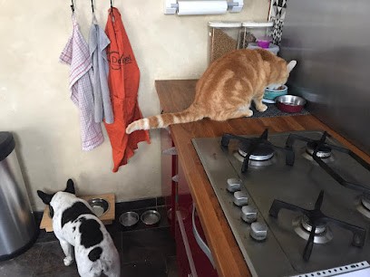 Cyn’acrocs, Pension pour Chiens à Teuillac