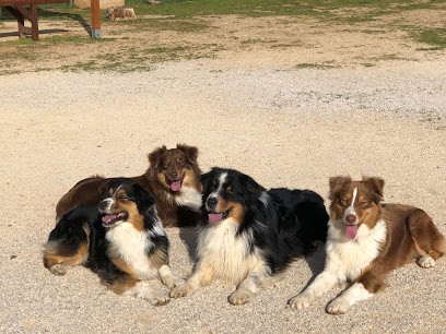 De la Légende Asturienne, Eleveur de Chiens à Bouillargues