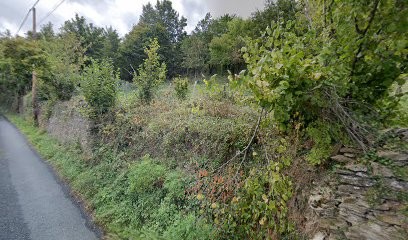 Camping Des 4 Pattes, Pension pour Chiens à La Valla-en-Gier