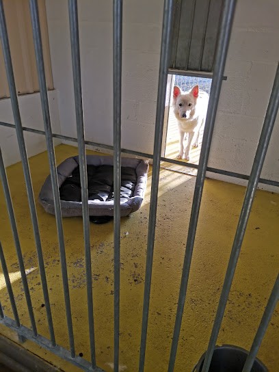 La Mare Aux Loups, Pension pour Chiens à Évreux