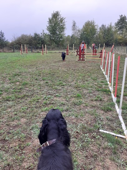 Cercle Canin Montrichardais, Dresseur de Chiens à Saint-Julien-de-Chédon