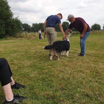 Dominique Racine, Dresseur de Chiens à Quesnoy-sur-Deûle
