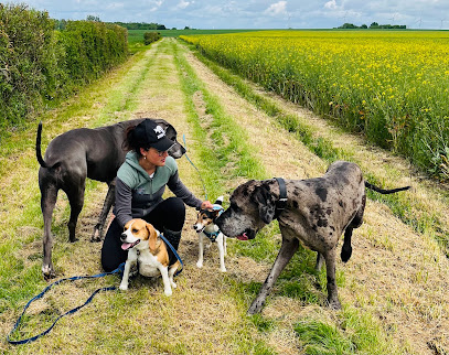 La Colo De Shadow Pension Pour Chien à Paudy