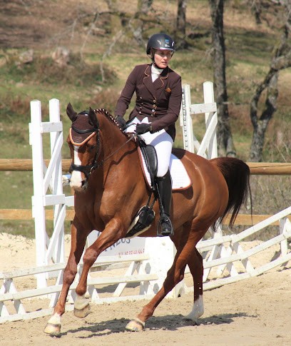 Les Liens d'Armor - Nelly HOPP - éducation canine, médiation animale, dressage, Dresseur de Chiens à Meilhards