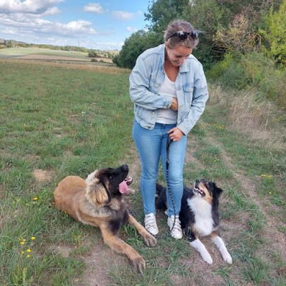 Nom D’un Chien - Comportementaliste & Educatrice Canine, Dresseur de Chiens à Villeneuve-de-Marc