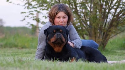 Engel Schwarz, élevage de rottweilers, Eleveur de Chiens à Archigny