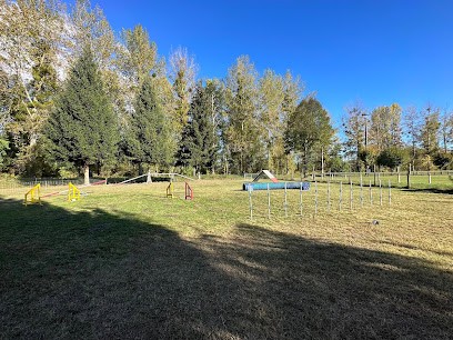 Les Aristo'Chiens, Dresseur de Chiens à Pointis-de-Rivière