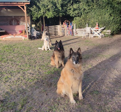 BAC Valérie, beaba-canin, Dresseur de Chiens à Orange