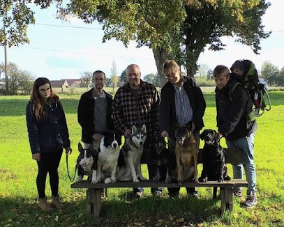wolfhound Ecole, Dresseur de Chiens à Nibelle