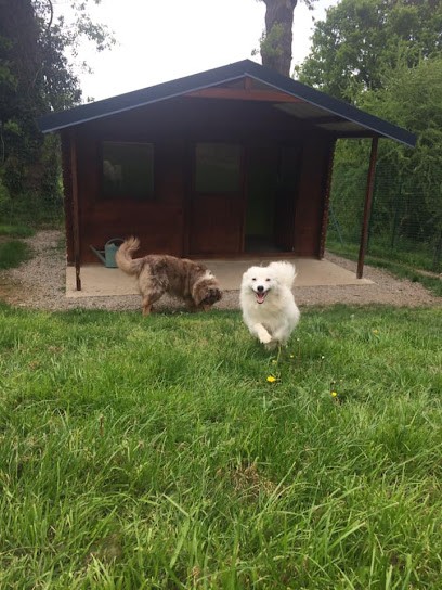 Pension Canine Du Coetny, Pension pour Chiens à Plumelec