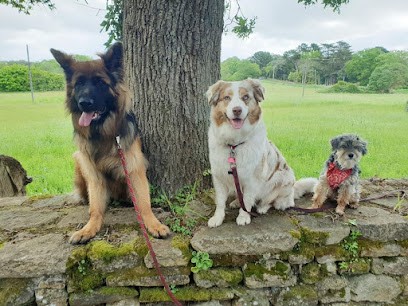 DOGGYSCHOOL - RUOTTE Caroline - EDUCATEUR CANIN Comportementaliste, Dresseur de Chiens à Saint-Avé