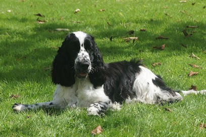 Élevage - Pension Des Étangs De Fly, Eleveur de Chiens à Fleury