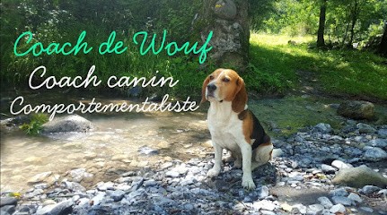 Coach De Wouf, Dresseur de Chiens à Simiane-Collongue