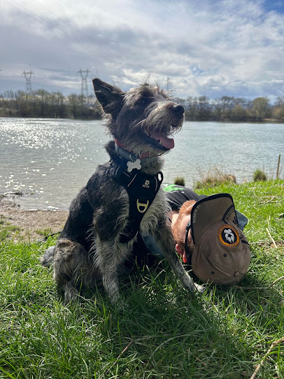 Ludidog Educateur Canin À Domicile Dresseur De Chiens à Pertuis