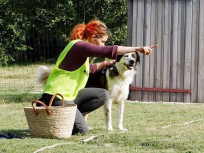 Copain Canin, Dresseur de Chiens à Rennes