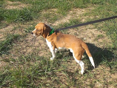 Elevage Du Puits De Vayer, Eleveur de Chiens à Valliguières
