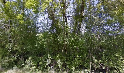 Club D'éducation Canine De Virelade, Dresseur de Chiens à Virelade